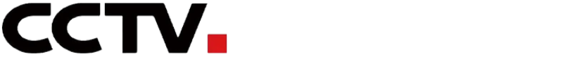 央视国际新闻网